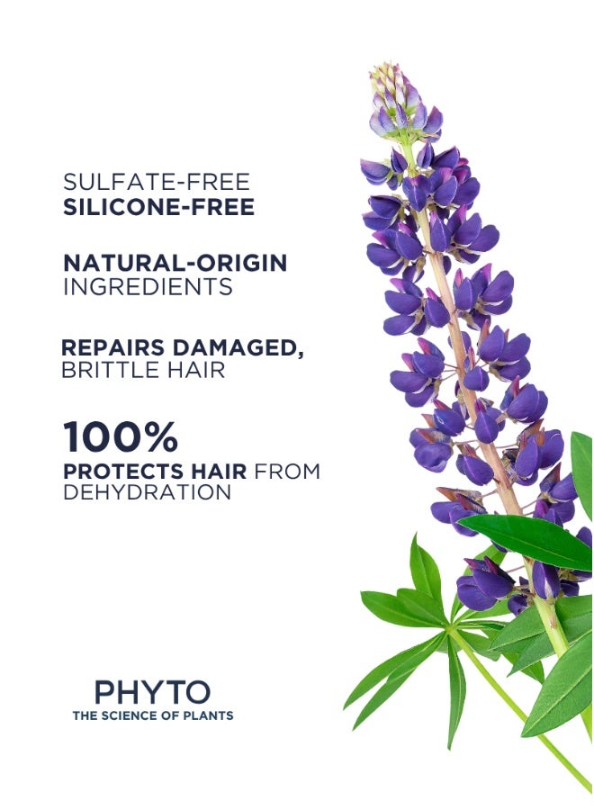 Phyto شامبو فيتو ريبير لإعادة الهيكلة 250 مل - Image 3